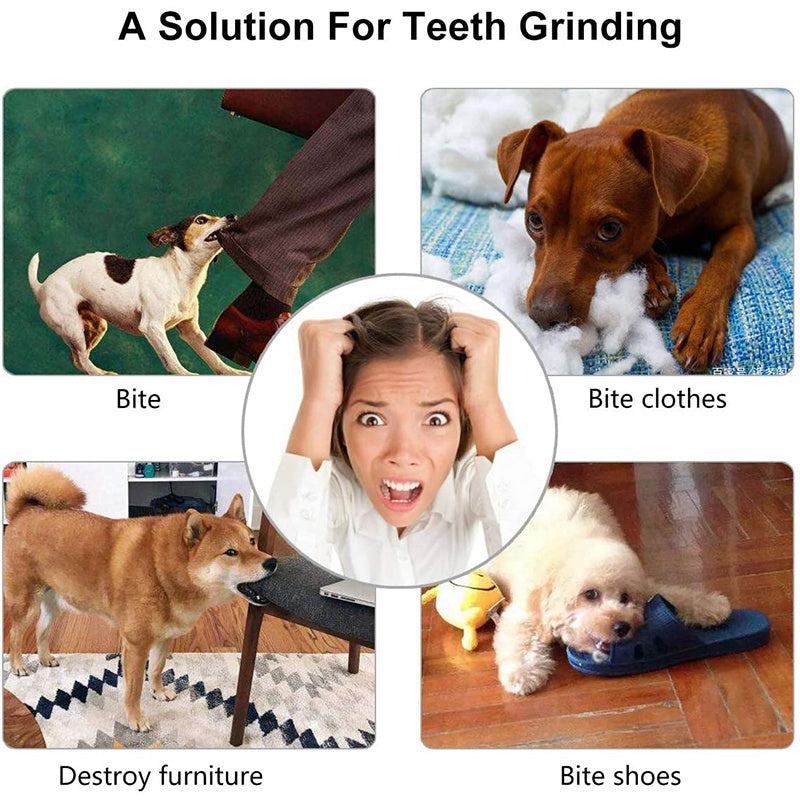 Balle interactive pour chien – Mâcher, jouer et nettoyer les dents