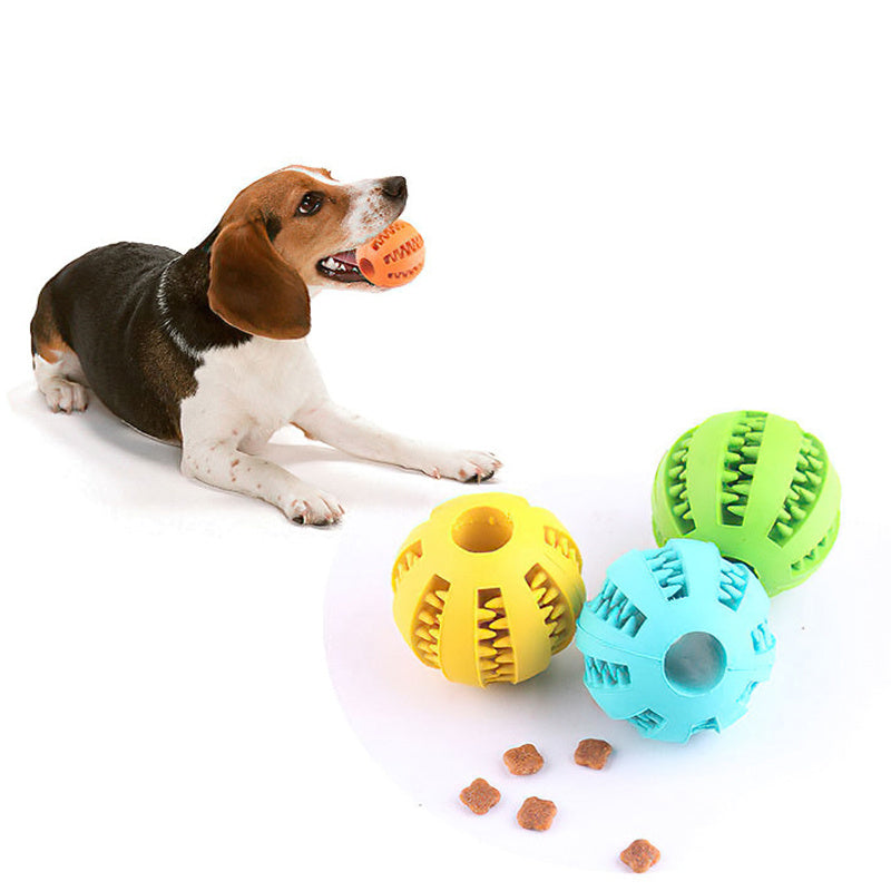 Balle interactive pour chien – Mâcher, jouer et nettoyer les dents