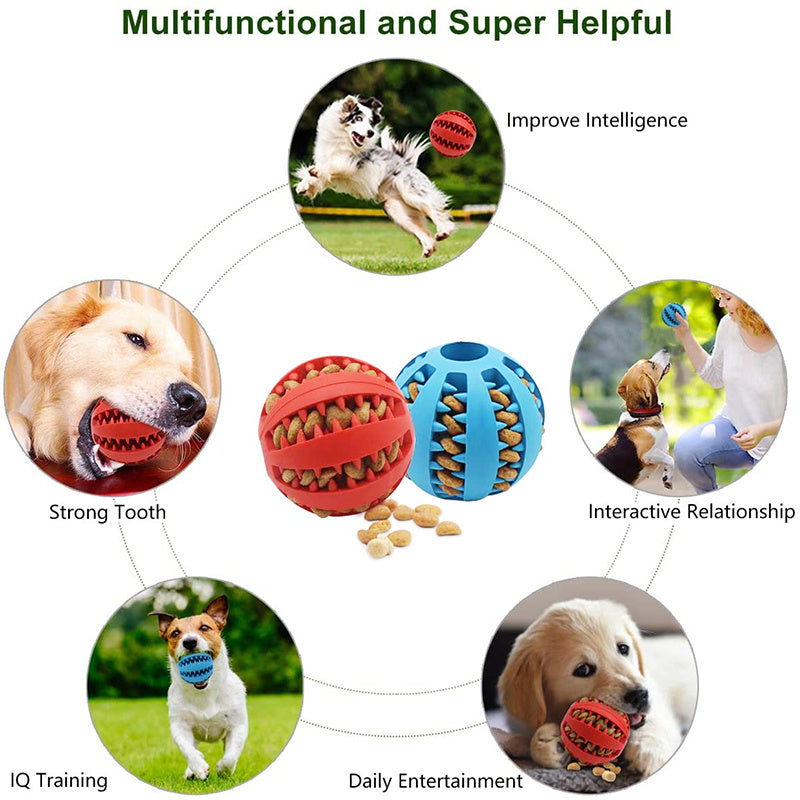 Balle interactive pour chien – Mâcher, jouer et nettoyer les dents