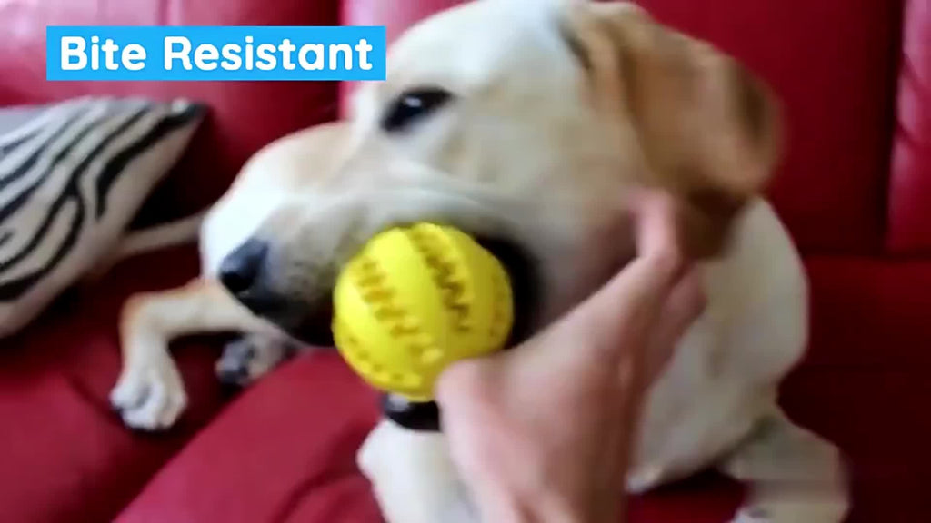 Balle interactive pour chien – Mâcher, jouer et nettoyer les dents