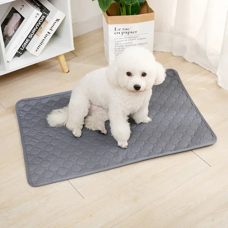 Reusable Puppy Training Pee Pad