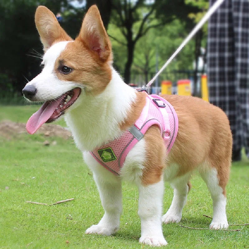 Breathable Mesh Reflective Dog Harness