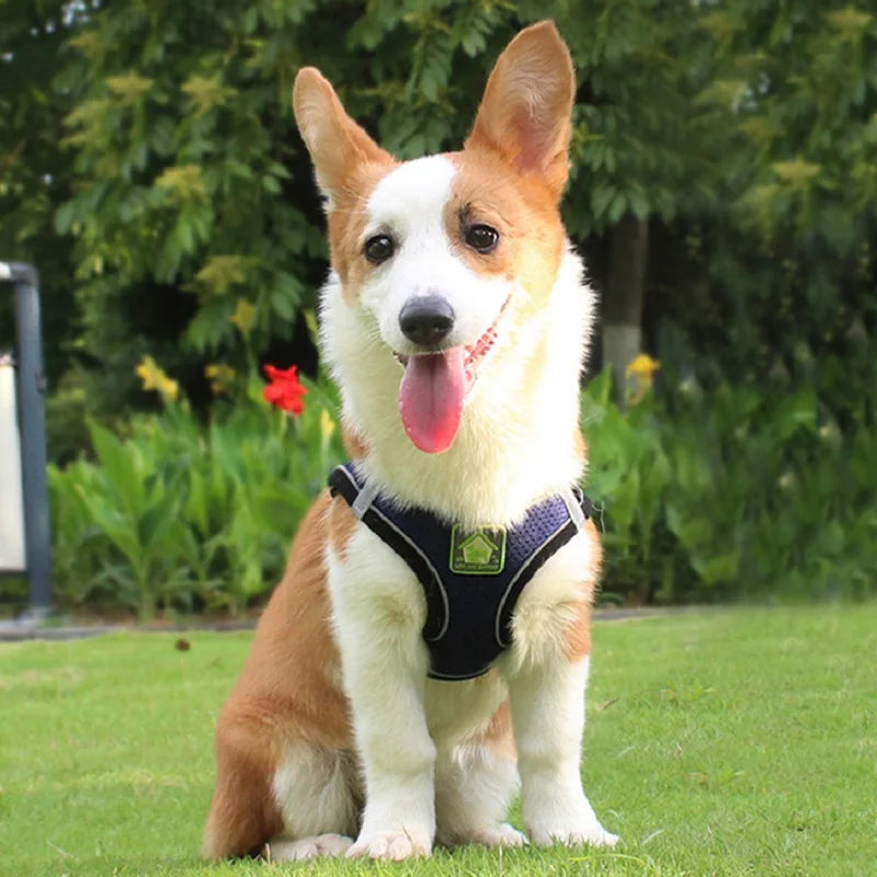 Breathable Mesh Reflective Dog Harness