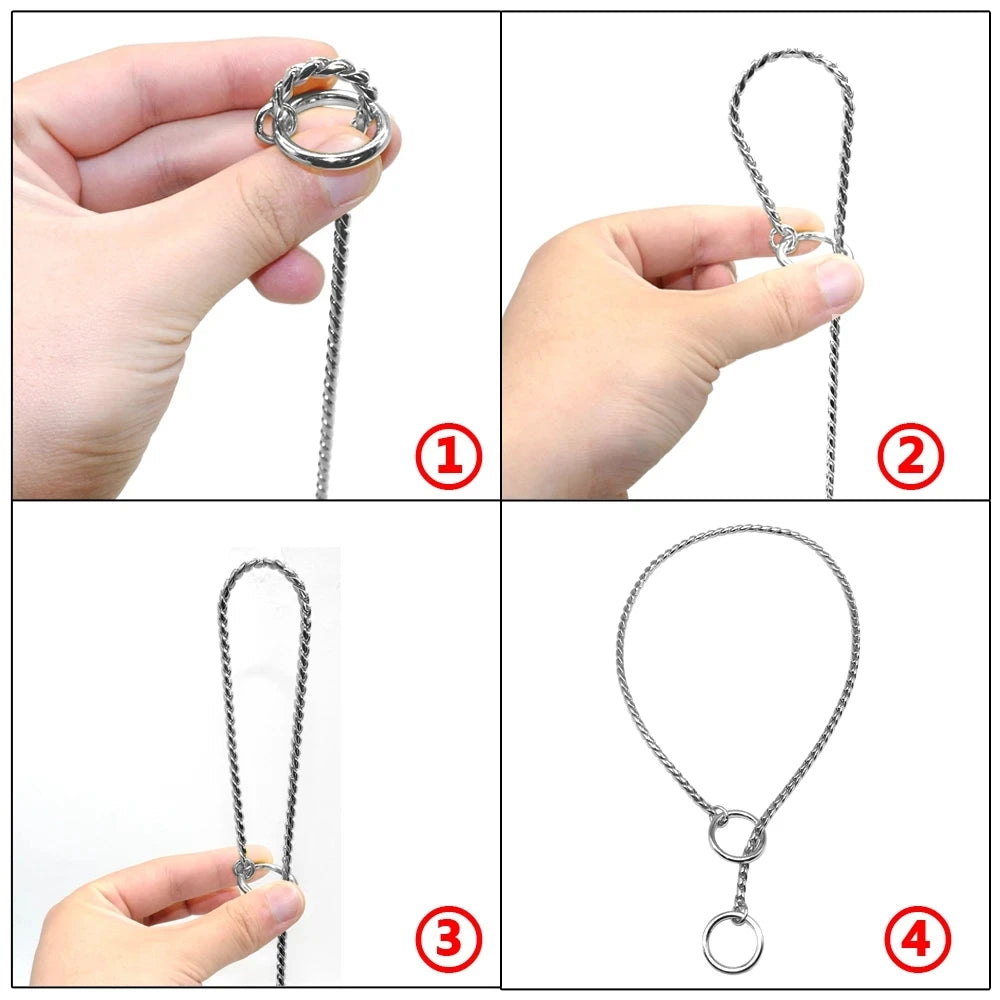 Stainless Steel Dog Training Chain Collar
